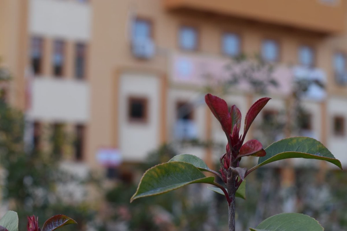 sttflsanat's tweet photo. Emre Tuna Cansu arkadaşımızın yeteneğini yansıttığı fotoğraf kareleri...
#school #highschool #sanat #fen #science #bilim #art #photo #fenerinmacivar #Oscar2019 https://t.co/ezeQz1wFIX