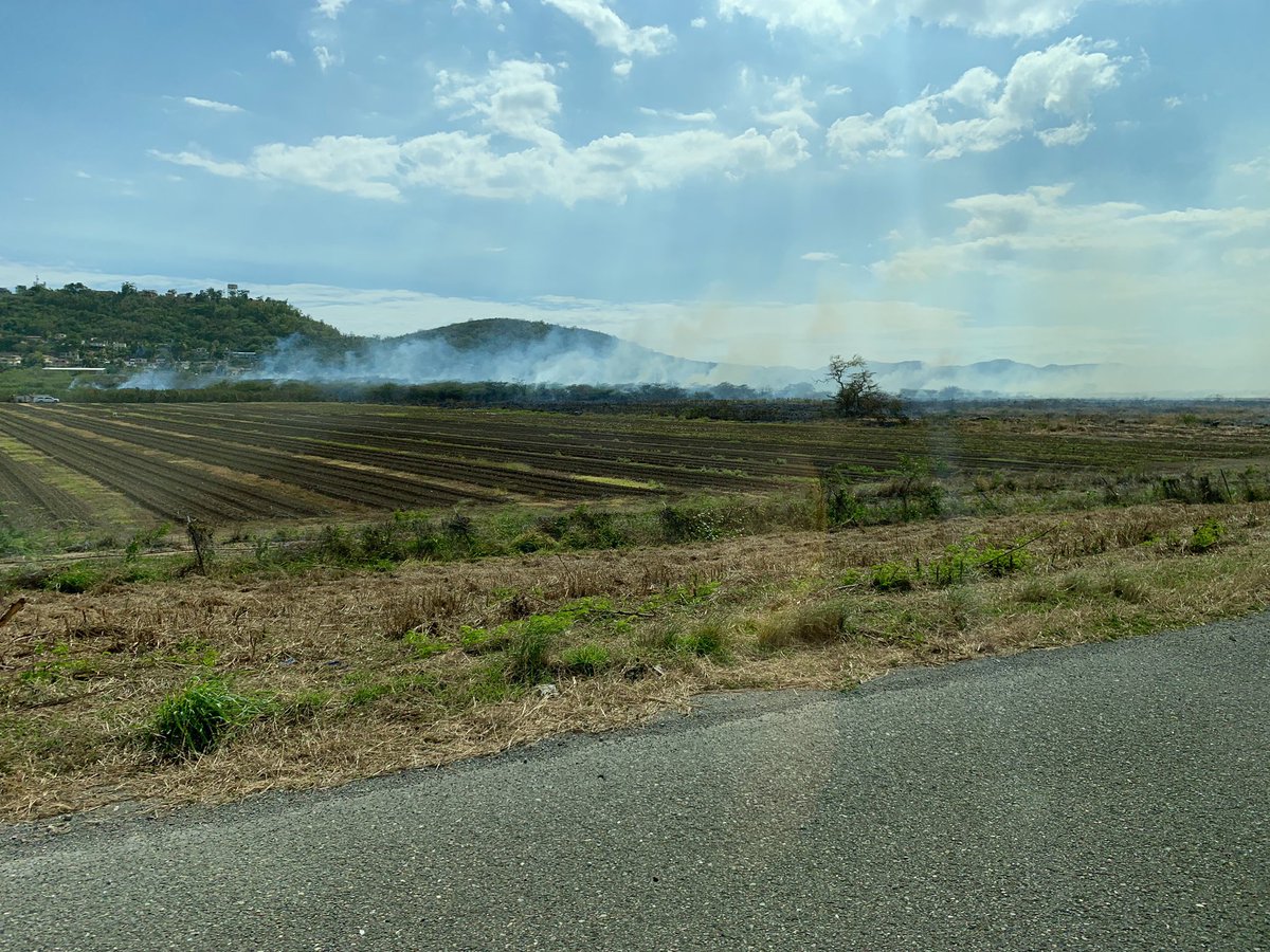 williamcora1's tweet photo. @DeborahWAPA incendio forestal en el pueblo de Guanica. https://t.co/JZWvxVJQK3