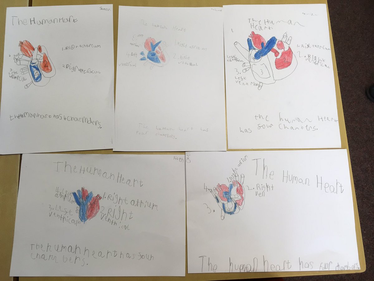 MissShevlinTPS's tweet photo. So proud of P3b's first attempt at guided drawing...their human heart diagrams are fantastic! 🌟🌟🌟🌟 https://t.co/k8r262YjhF