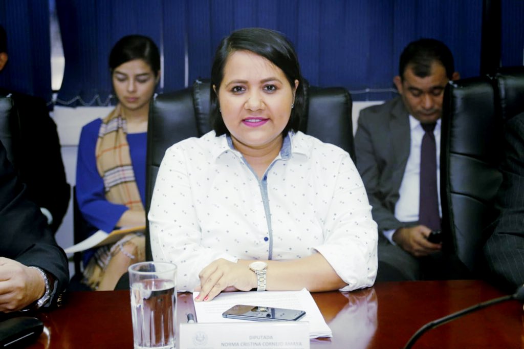 cristicornejo_'s tweet photo. En Comisión de Legislación abordamos petición de antejuicio y desafuero contra magistrado Jaime Escalante, acusado de "agresión sexual en menor e incapaz" y "violación y agresión sexual agravada" por autoridad pública, previsto y sancionado en Art. 161 y 162 de Código Penal. https://t.co/R0DYjOub4J