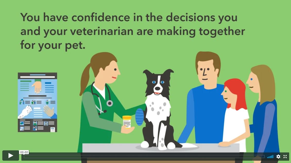 cvo_org's tweet photo. The veterinarian-client-patient relationship is the foundation of effective veterinary medicine and animal care. Learn more about how the #VCPR helps pets get the best care!
https://t.co/8lvemhV7Jg https://t.co/fWKdudR2oR