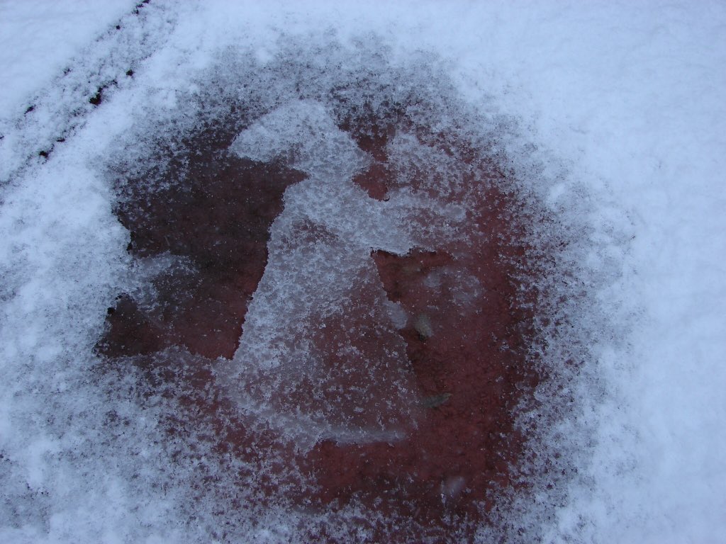 PigeonTech_IT's tweet photo. @domisatwit Hi Dom, I had a similar exp about 20 years ago with this image that appeared on our hot tub cover https://t.co/7Y3ag8OCId