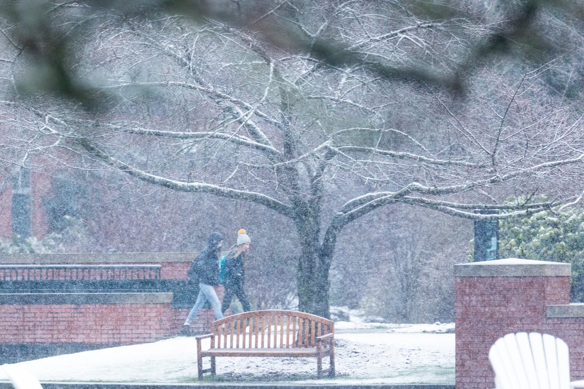 More snow! Bearcats woke up to a white wonderland this morning. #WillametteU #WillametteUniversity <a href="/WillametteAlum/">WillametteAlum</a> @WUAdmit
