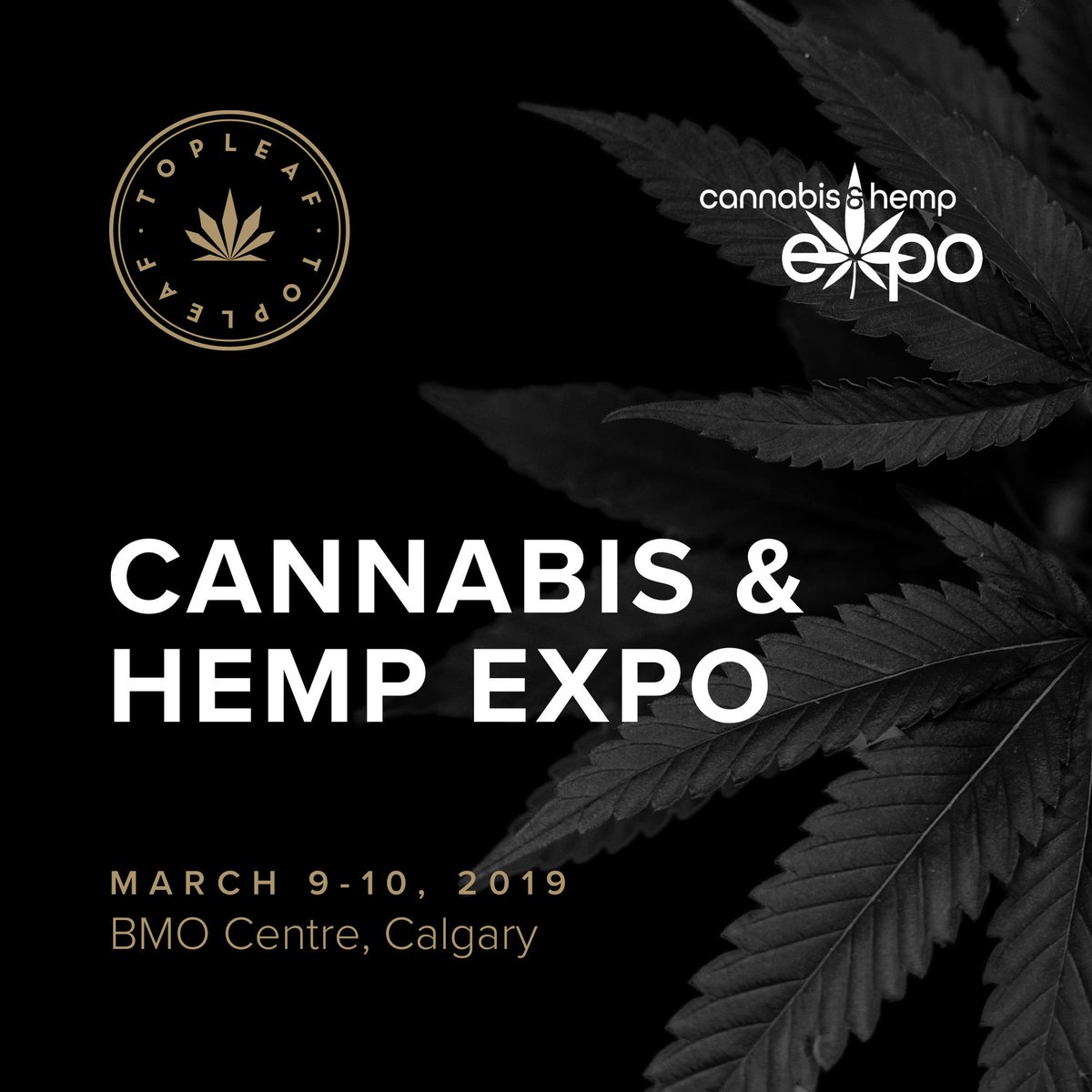 Who wants to hang? Here we come, #yyc. @cannhempexpo