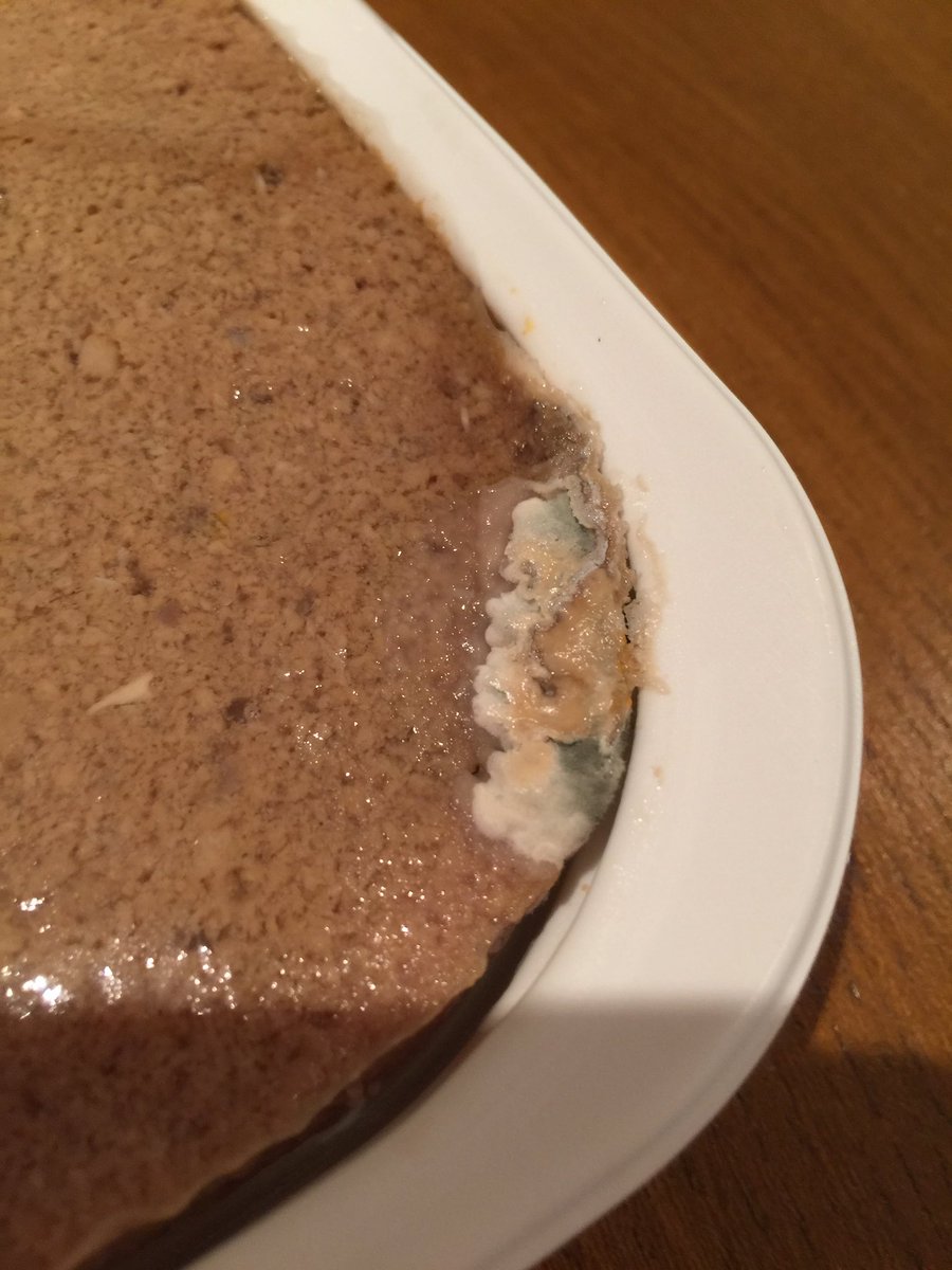 JamieLacelle's tweet image. @Forthglade  my dog loves your food but I just re-ordered a box of trays and there were mouldy, even though they were in date #forthglade