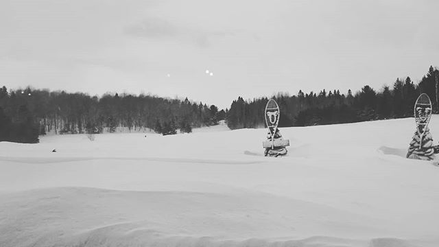 interestingmix's tweet image. The Parcel Omega walking trail, but not a great idea today. Nice view, though #impossibletogetbadphotosofcanada #canada #parcomega #instagram ift.tt/2IBPsH0