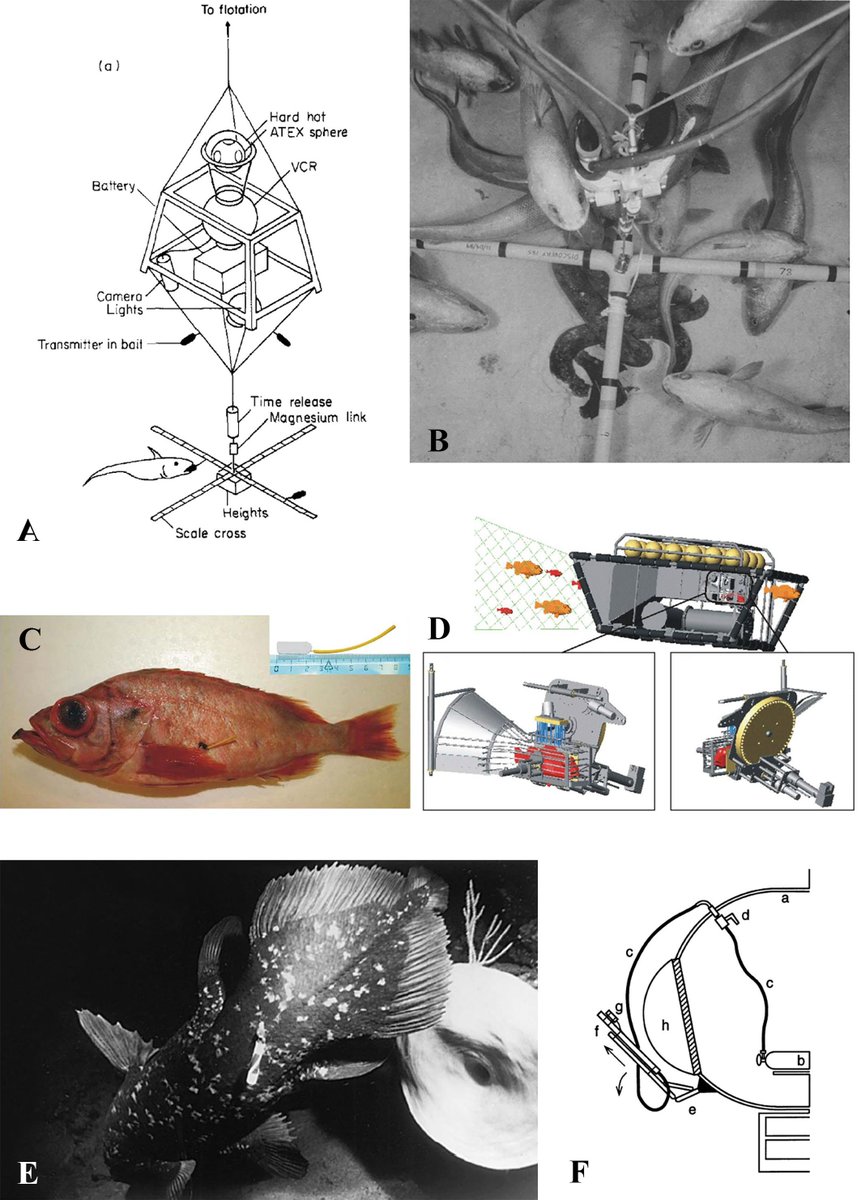 The deep sea is the final frontier for exploration and animal tracking. Find out how researchers can continue to uncover the mysteries of animal movement in the deep sea in our new review published in DSR1! 
Thanks for the tweet @SharkMourier! -<a href="/NEHmarine/">Nigel Hussey</a>, <a href="/OceanTracking/">Ocean Tracking Network</a>