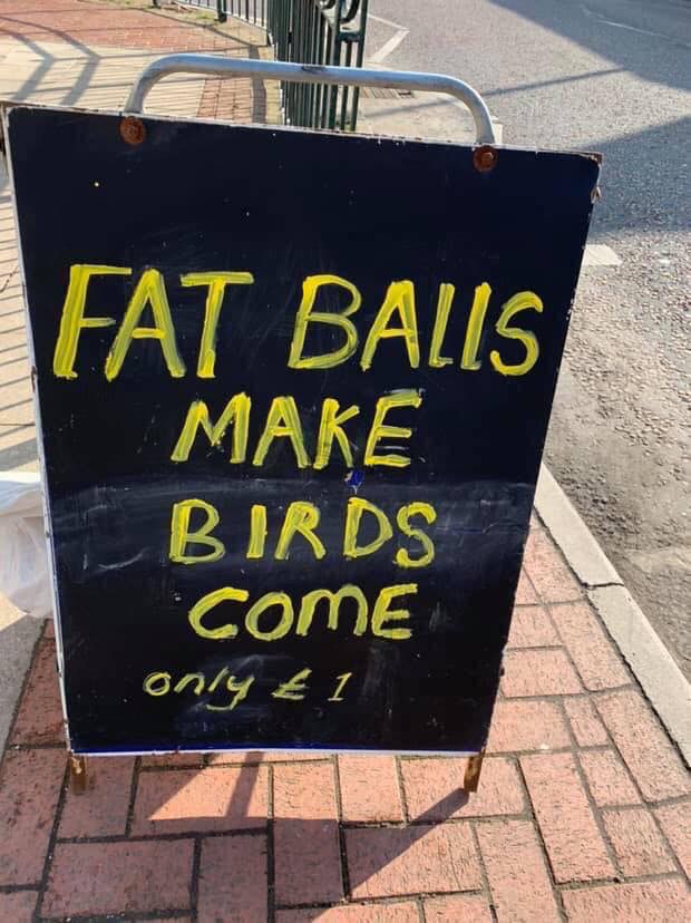 Excuse the Pun tweet media