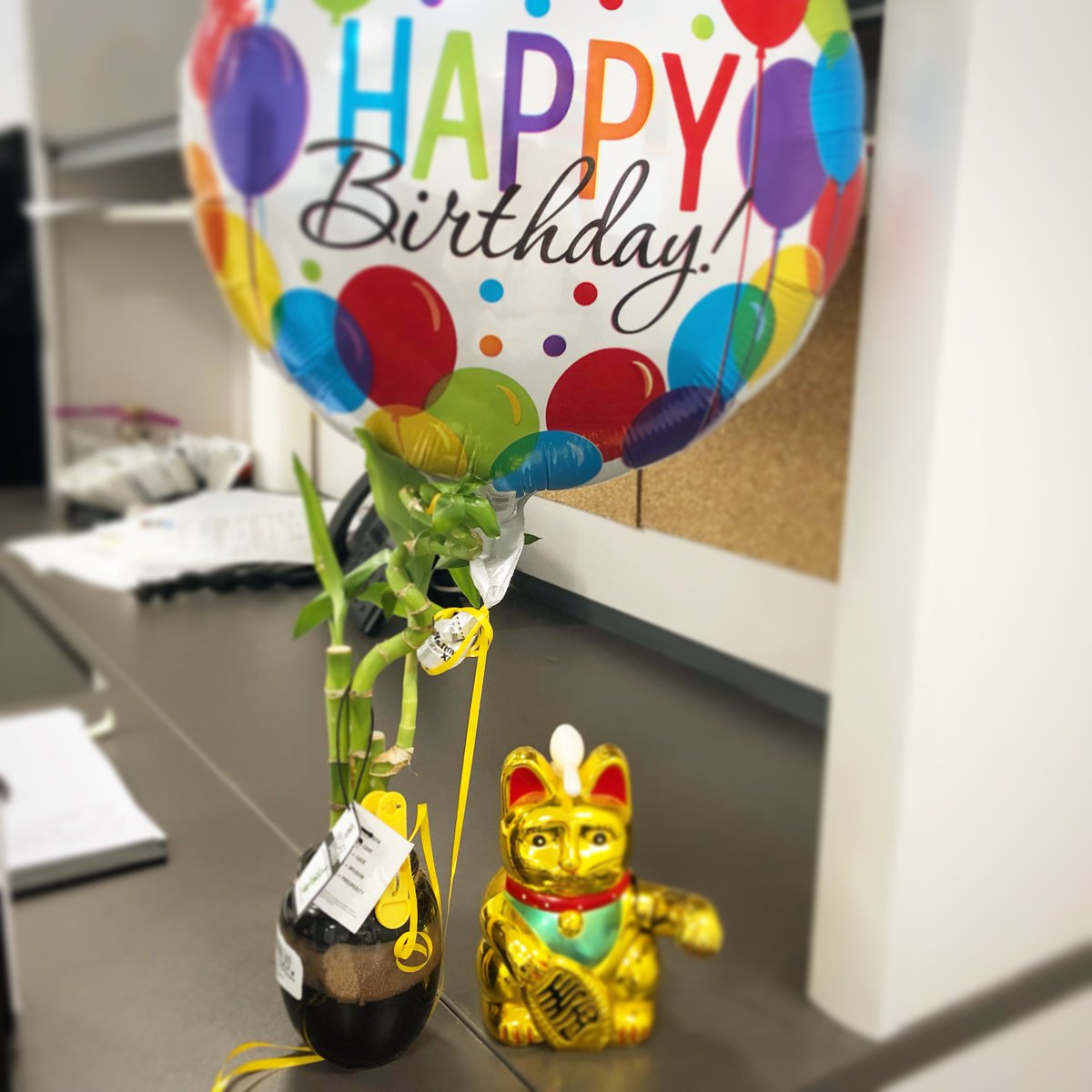 VCGAgency's tweet photo. Happy birthday to our resident world-traveler and copywriter Tom! ππ#vcgagency #vcgculture #wherepenguinsfly #30yearsofvision https://t.co/ym6PSFMM1M