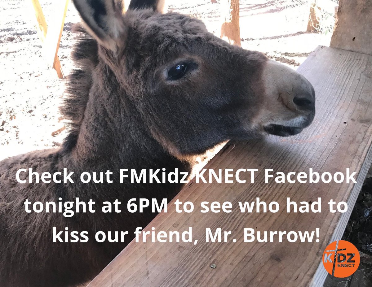 fmkidzknect's tweet photo. Like our Kidz KNECT Facebook page https://t.co/qb0FgKhU4a and tune in at 6PM tonight to see who has to kiss our friend, Mr. Burrow. https://t.co/lIGjJmwA9C