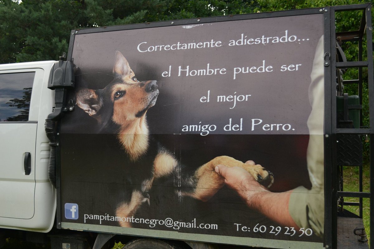 pampitafilms's tweet photo. Buen lunes amigos❗️❗
Esta es la frase que tenemos en la camioneta, se las regalo ...
"Correctamente Adiestrado... el hombre, puede ser el mejor amigo del perro"
Ustedes que creen?
#Lunes #CosaDePerros #EllosMisMaestros #SeamosmasPerros
#betun #perroActor https://t.co/RNEsPQCLzF