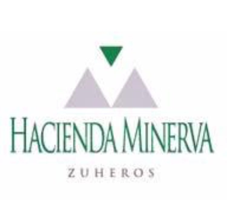 Combinadasafab1's tweet photo. Agradecer a HACIENDA MINERVA un año más por colaborar con la COMBINADA SAFA BAENA. Gracias https://t.co/rZ2xzmPkgt