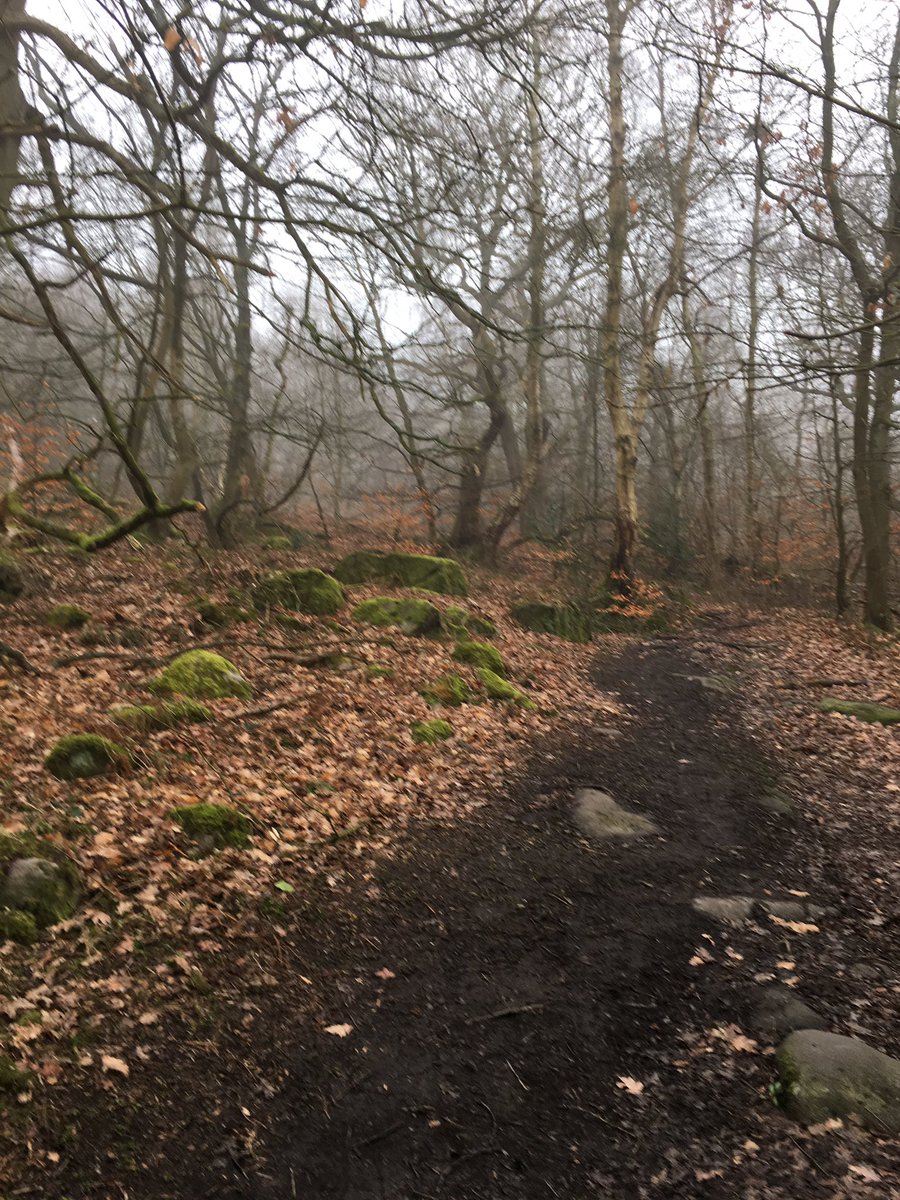 LifePherrell's tweet photo. First climb of the year loved it!!!!!! #rockclimbing #trad #outdoorfun #outdoorlife #nature #naturelovers https://t.co/tzacDfh4qJ