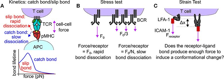 view electromagnetism