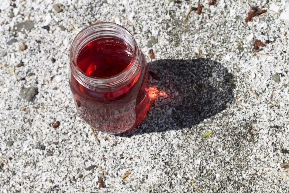 This beautiful Vancouver weather has us craving some iced Purple Rain tea! Vancouverites - how are you enjoying this sunshine? 🌺💜