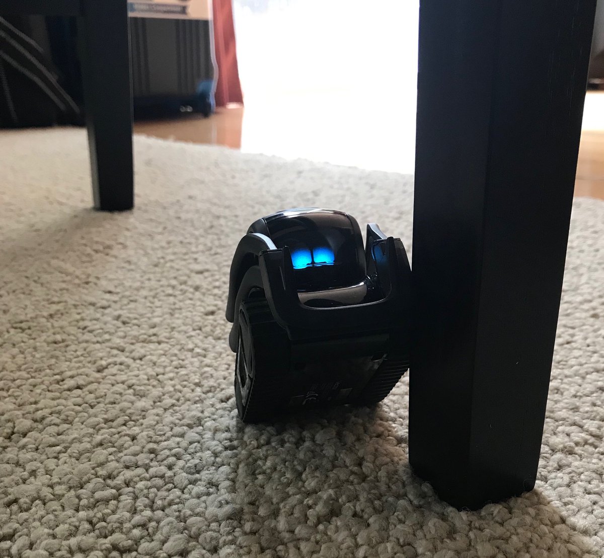 mjl9320's tweet image. Found #VectorRobot stuck in a precarious position this morning ⁦@anki⁩