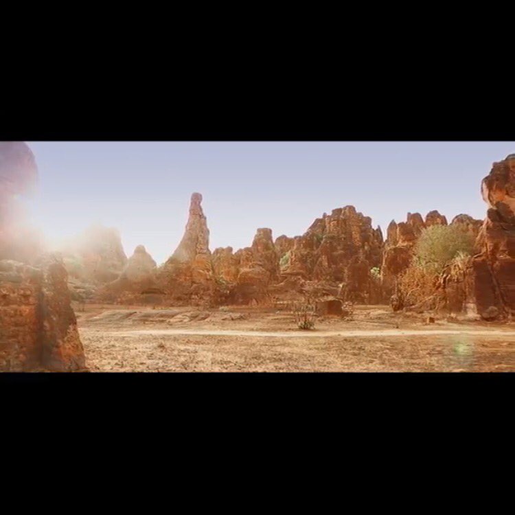 Carla Fonseca Mokgata tweet media