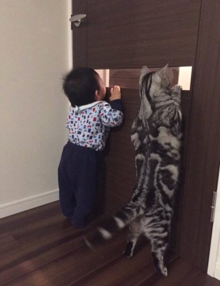 semqualidade's tweet photo. eu e minha família vendo os vizinhos brigarem https://t.co/oWYjSijZj8