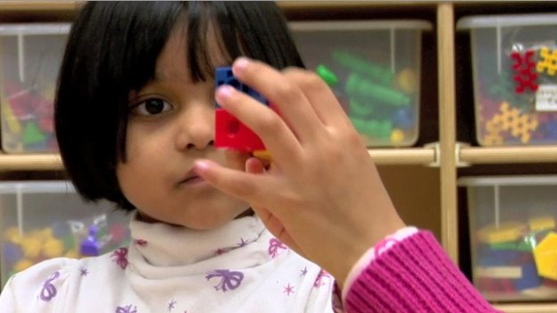 Erikson Early Math tweet media