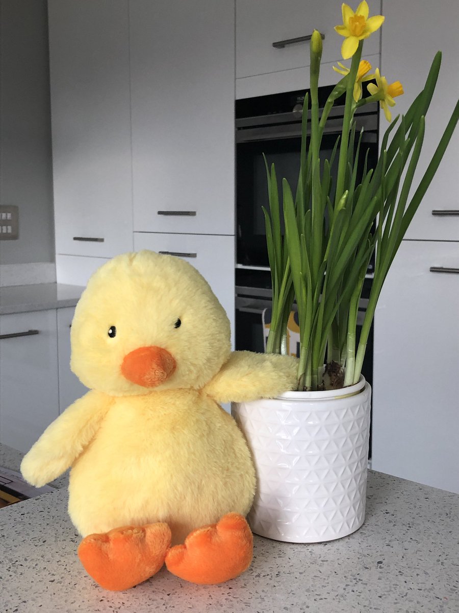 For our £10 challenge, which was set by <a href="/_hopeathome_/">Hope at Home</a> we are asking you to Name the Little Chick. The name will be chosen on the 6th March and the winner gets to give our chick a home.  To donate and have a go please visit buff.ly/2GxZd7n Good Luck! #WorcestershireHour
