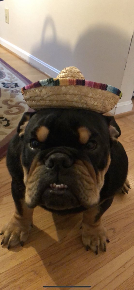 amberjacobss's tweet photo. Happy birthday to this crazy lil boy #bignumber1 β€οΈβ€οΈ https://t.co/Os58G4lwIF
