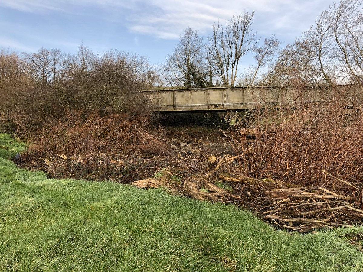 WhitcherWild's tweet image. Although Japanese Knotweed dies back over the winter it doesn’t mean it’s not visible and can’t be spread. #JKW #japaneseknotweed #knotweed #InvasiveSpecies #Ecology