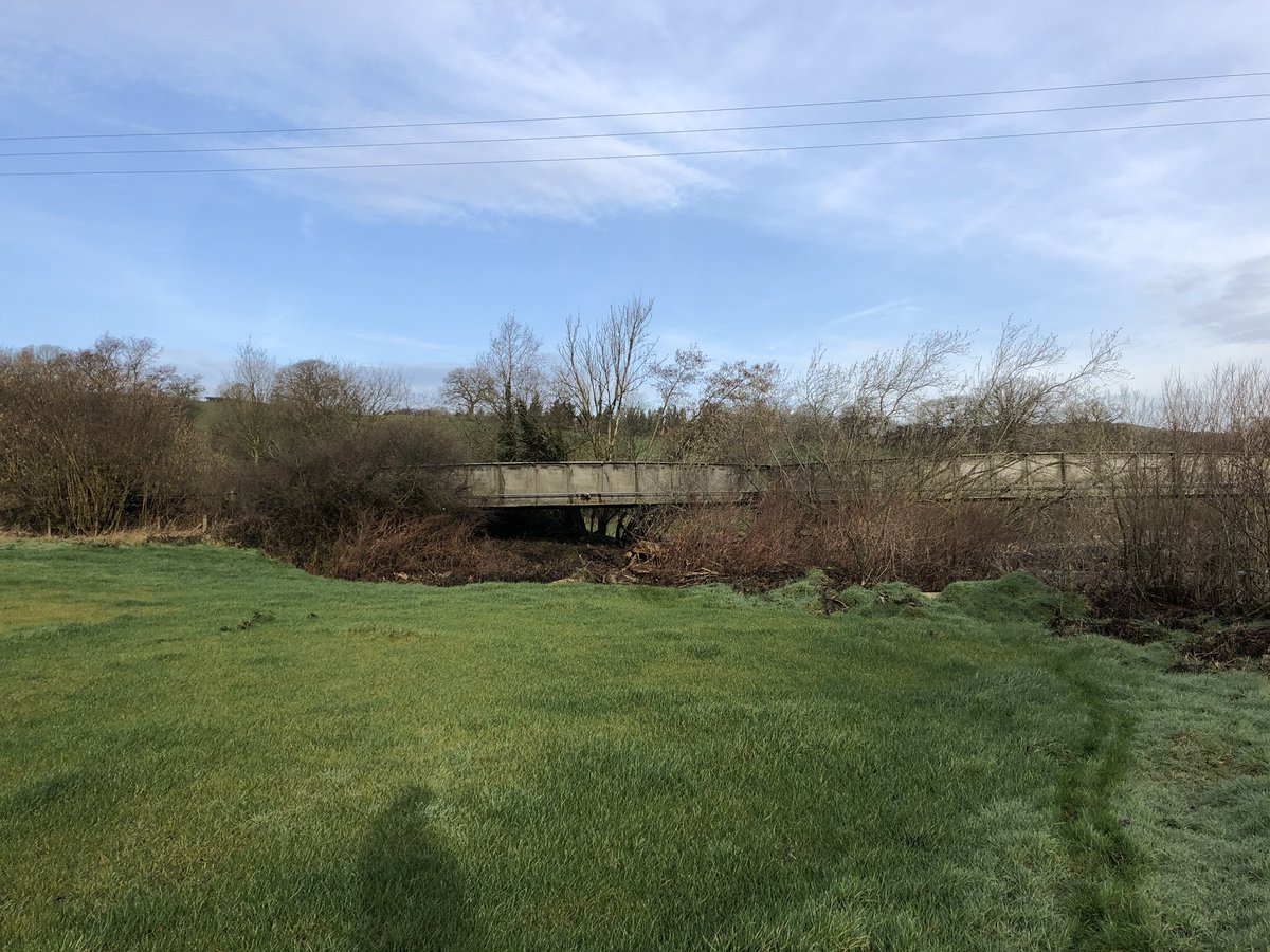 WhitcherWild's tweet image. Although Japanese Knotweed dies back over the winter it doesn’t mean it’s not visible and can’t be spread. #JKW #japaneseknotweed #knotweed #InvasiveSpecies #Ecology