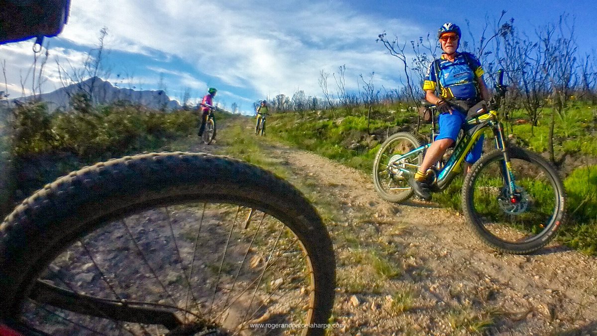 ebike_touring's tweet photo. We were joined today by friends from KwaZulu-Natal, Dave and Joy on a lovely, albeit tricky ride up into the Outeniqua Mountains. Just wonderful!
#mountainbike #mountainbiking #mtb #cycling #mtblife #mtbstoke #ebike #ebiking #emtb #eBikeTouring #ebikes #emtb #gardenroute https://t.co/RKMVItw1Kc