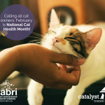 Photo by CATalyst Council (@CatalystCouncil)