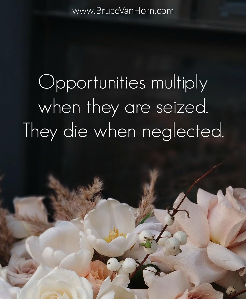 BruceVH's tweet image. Opportunities multiply when they are seized. They die when neglected. 

#Wisdom #Success