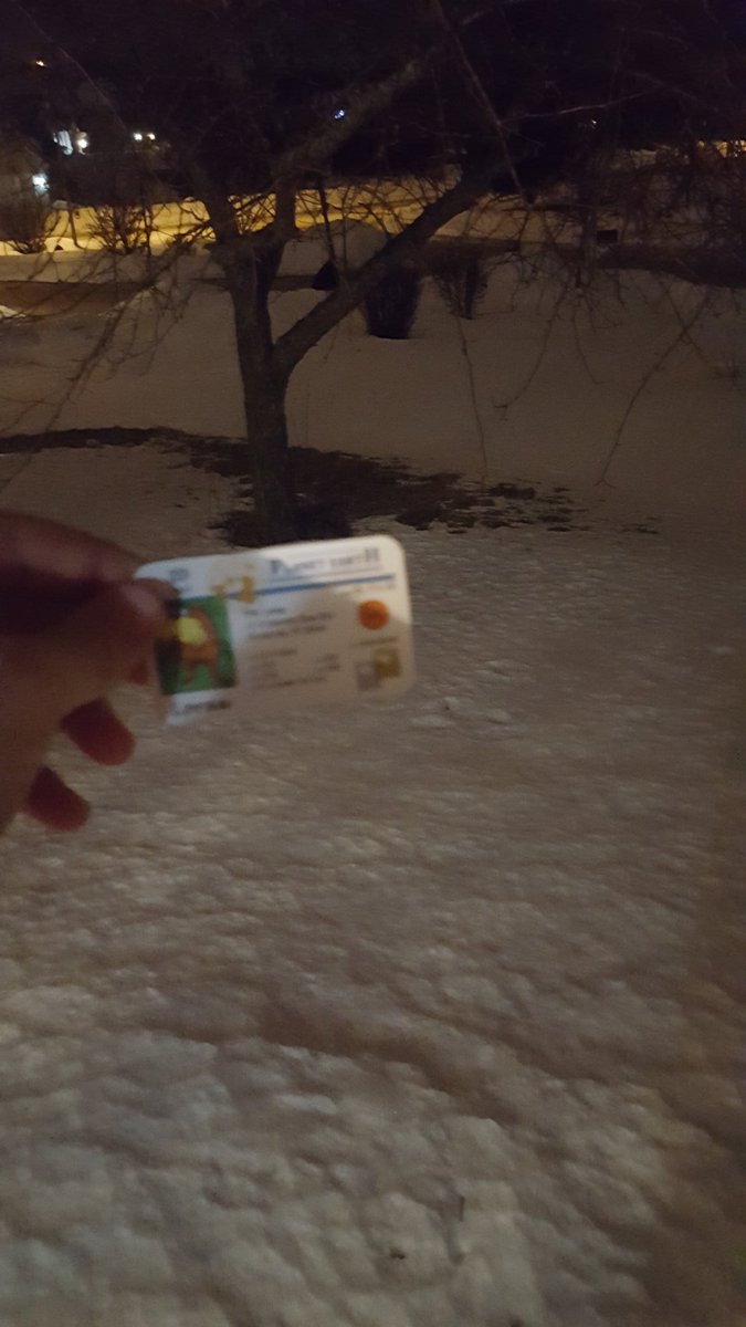 that1wh1teguy's tweet photo. The roots of this tree keep the grass and gravel of the top layer of this soil from sliding down the ledge and moving.@franklinlorax #apesland https://t.co/3gsWNSPN4S