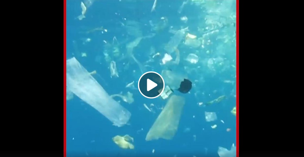 PlasticPollutes's tweet photo. #PlasticWatch: Thousands came together to clean up Bali’s beaches. #plasticpollutes #makeachangeworld
https://t.co/JmYr0yR711 https://t.co/0idMYRVEtG