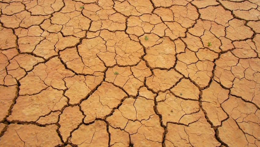 FourthRayBeauty's tweet photo. How my skin feels like if i don’t moisturize 😭 https://t.co/nzB0exkjIK