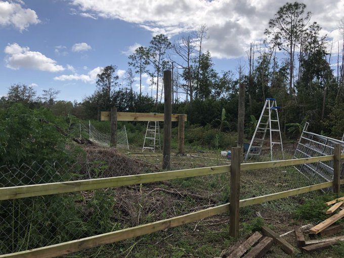 Progress on goat pen. https://t.co/77GN0dJ9rW