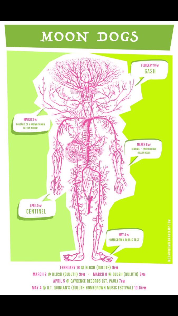 Moon Dogs tweet media