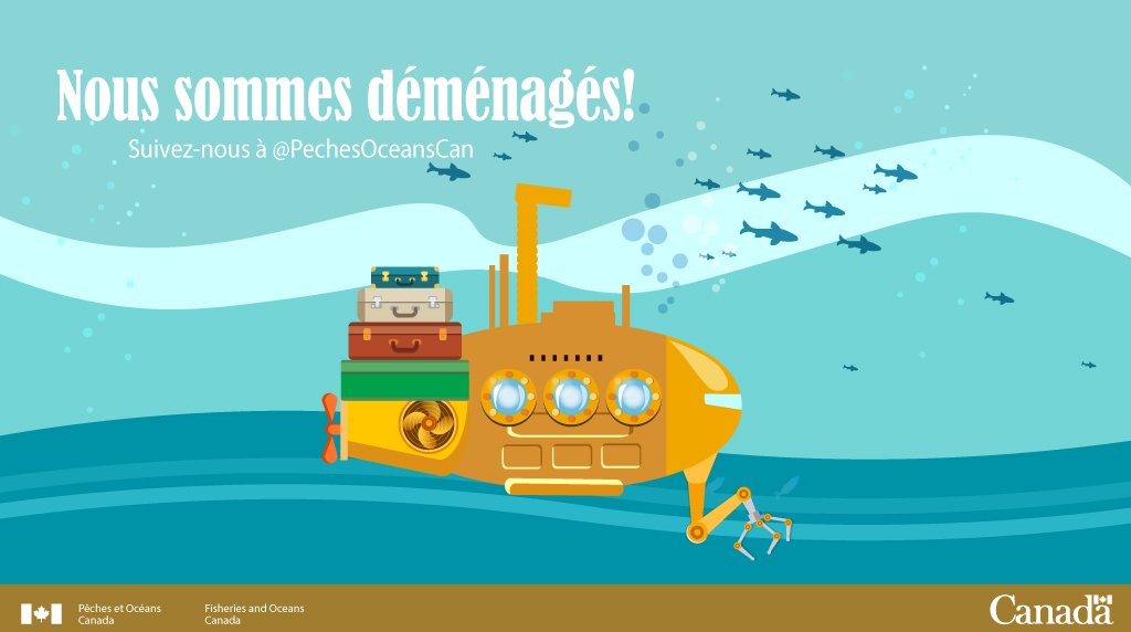 Notre compte Twitter est maintenant amarré au port de <a href="/PechesOceansCAN/">Pêches et Océans</a>. Suivez-nous pour être au courant de nos plus récentes nouvelles et activités.