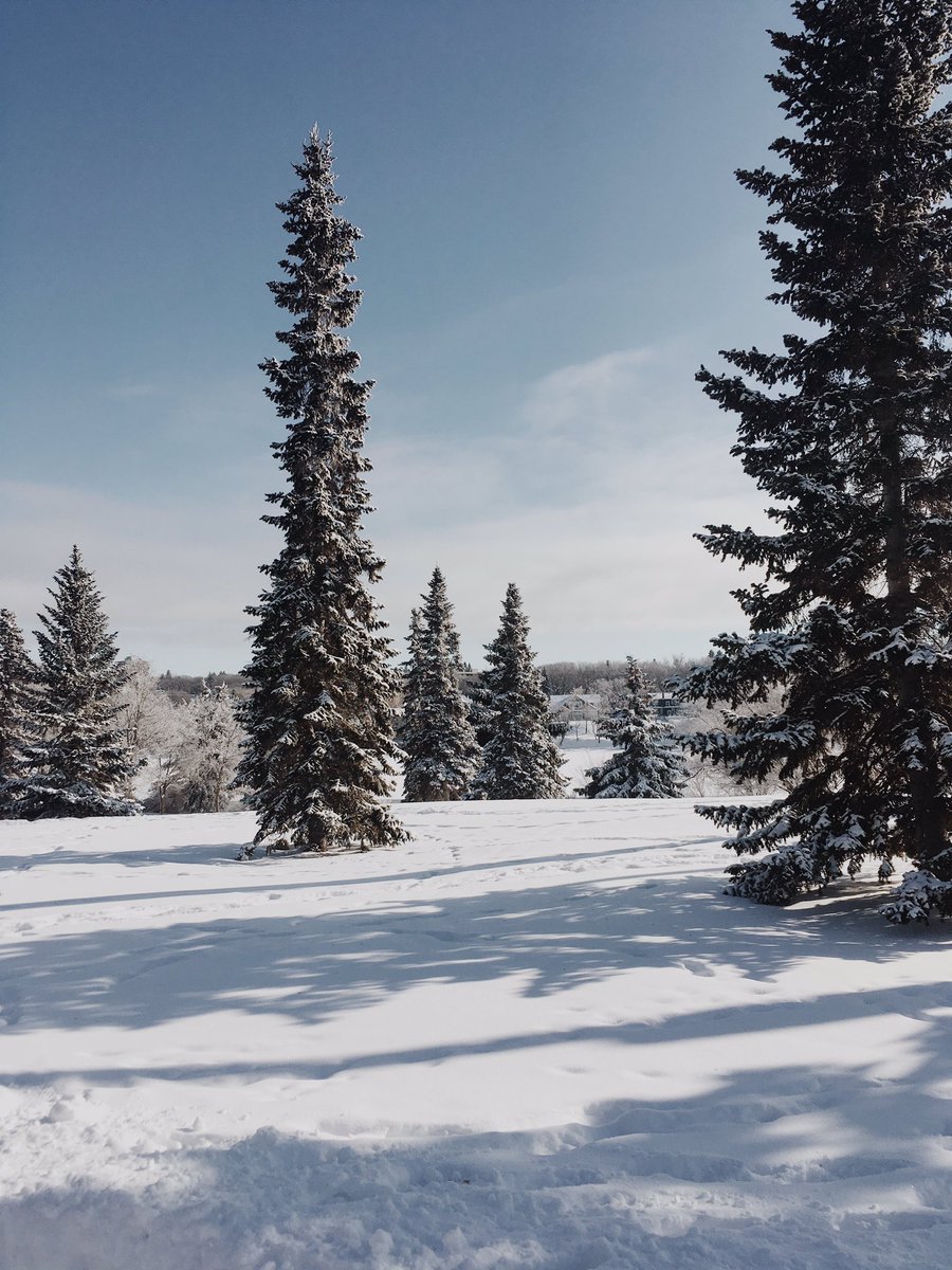 kelsieauralee's tweet photo. Enjoy it while it lasts ❄️🌲

#exploresask #explorecanada #saskatooning https://t.co/Bsam1grHOO