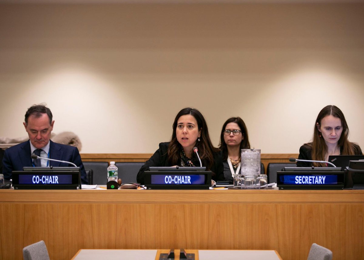UAEMissionToUN's tweet image. Amb Nusseibeh &amp;amp; Amb Braun co-chair the second informal meeting of the #IGN plenary on #SCReform focusing on regional representation, the question of veto, &amp;amp; categories of membership.