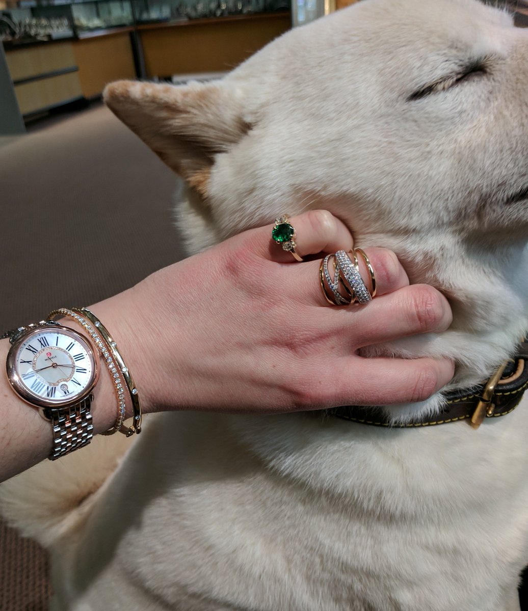 SkaneatelesJ's tweet photo. Two of the best friends in the world: dogs and diamond😍😍 #Skaneateles #jewelry #dogsoftwitter https://t.co/ImwVfJNHqe