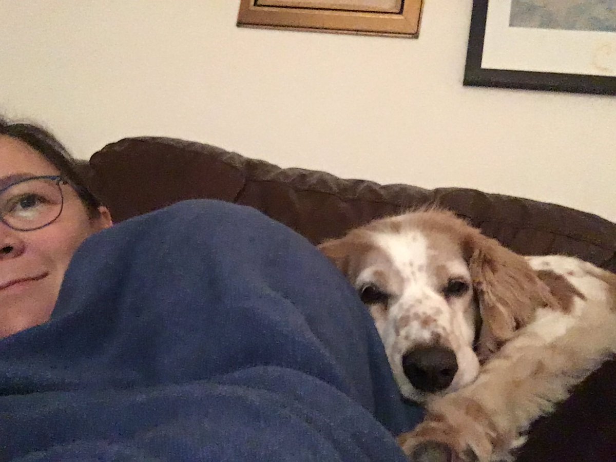LearnPEOLC's tweet photo. @ShazzaHudson and i have #snuggledogs who else? https://t.co/LmjDlDiuF5