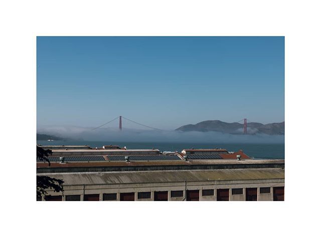 yelizaveta_sm's tweet photo. Golden Gate and the fog.
▪
▪
▪
#sanfrancisco #unitedstates #solotravel #solotraveler #wanderfolk #letsgosomewhere #exploreeverything #wonderfulplaces #amazingview #neverstopexploring #exploremore #goexplore #lifeofadventure #intothewild #createexplor… https://t.co/uBYWlW6j81 https://t.co/k6s5lfCPe4