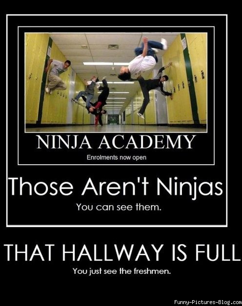 EVMADojo's tweet image. #NinjaAcademy #AllLevelsWelcome #EastValleyMartialArts