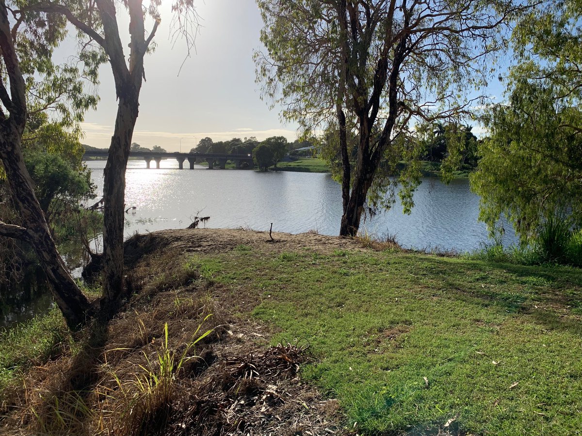 The banks of the Ross River where two young brothers aged 3 and 5 were found early this morning ⁦<a href="/abcnews/">ABC News</a>⁩