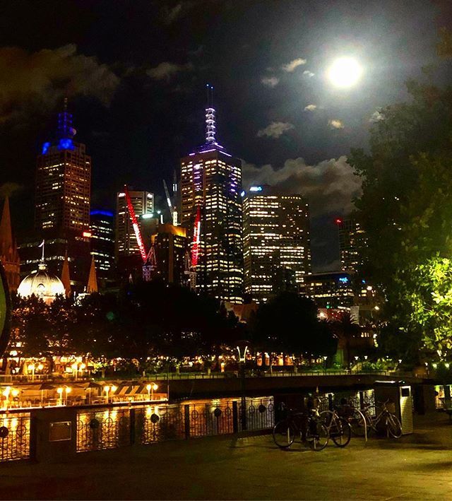 BearBrassBar tweet media