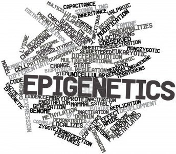 bioquicknews's tweet photo. New Method May Spell "#TAPS" for #Bisulfite Sequencing for Detecting #EpigeneticModifications
https://t.co/Svr30e3c62
@bioquicknews https://t.co/Wp2oMnqLen