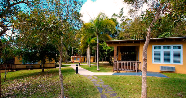 ofertadeldiapr's tweet photo. Estadía de 3 días y 2 noches para 4 personas en semana o wikén en Cidra Country Club. Incluye desayuno continental.  #Oferta desde $149: https://t.co/WKc9ftCFLy 
#Ofertadeldia https://t.co/GEHLwMw0le
