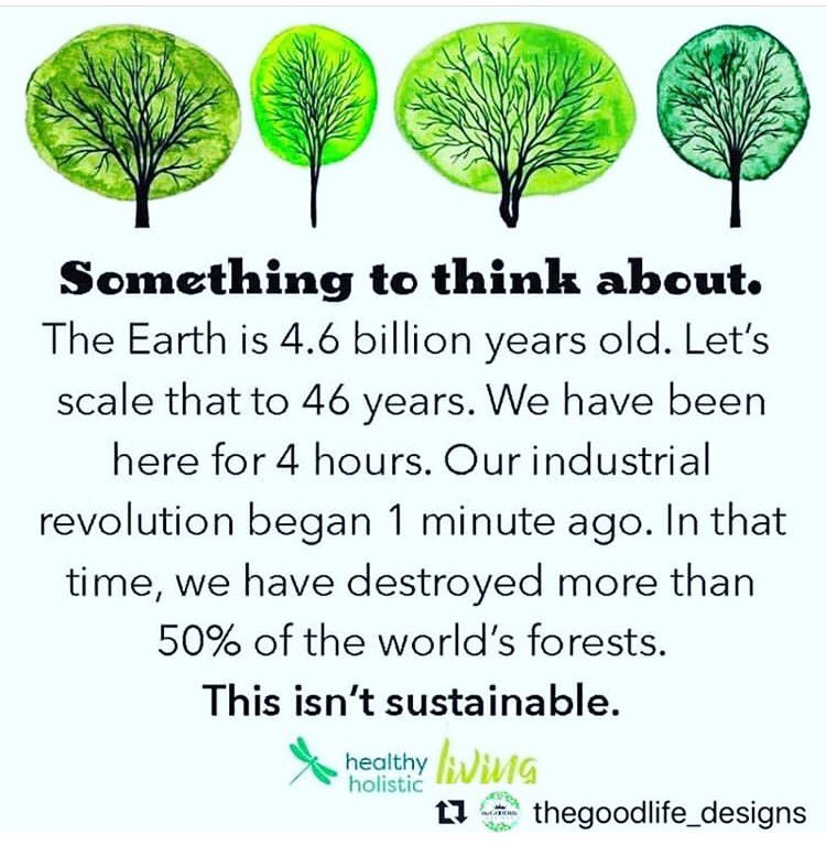 Meganflood97's tweet photo. The need to protect the planet has never been more serious! We are all responsible for our impact on the planet #Sustainability #mg334 https://t.co/qL3MzZzChw
