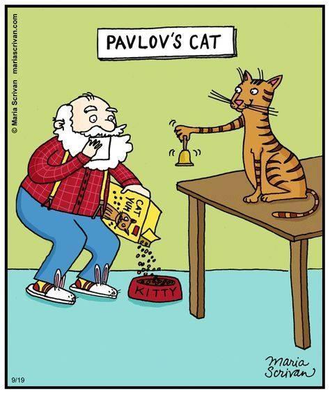 #psychology #psypost #brain #mind #psychiatry #psychological #research #science #scienceimages #sciart #biology #anatomy #LOL #funny #humor #joke #meme #psychologyhumor #sciencerocks #brainimages #neuron #neuroscience #neurology #pavlov ift.tt/2H1iYUe