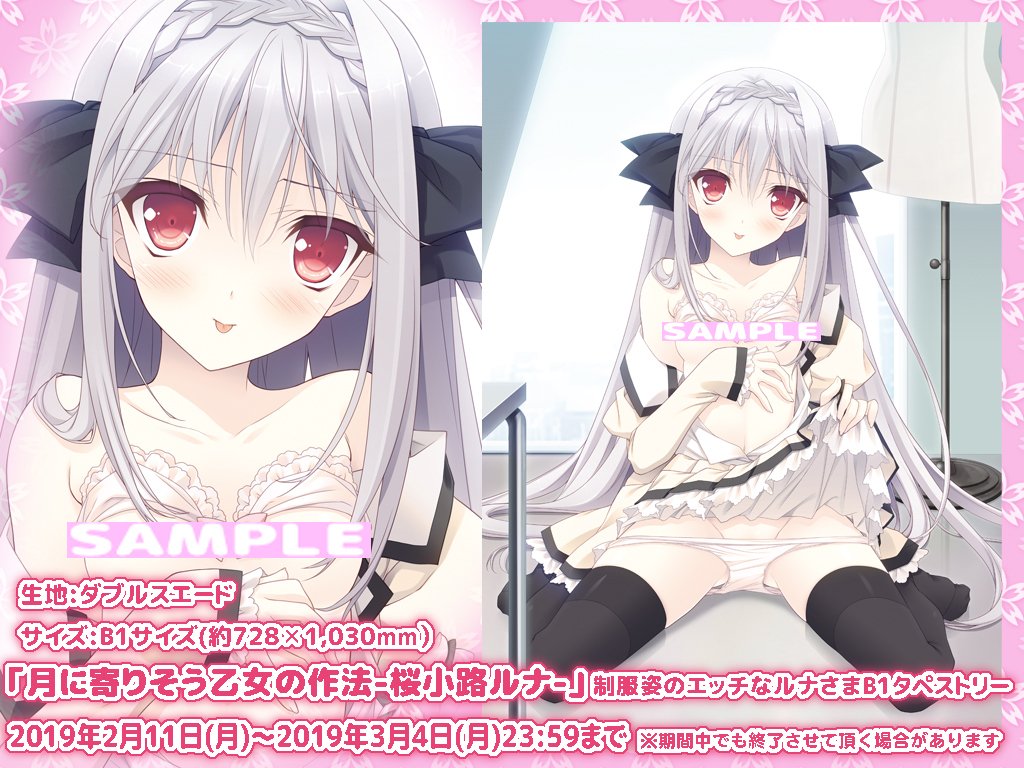 🍊 Navel【公式】🍊㊗️『SHUFFLE!』21th🌻『おれつば』16th 🍊 Navel【公式】🍊㊗️『SHUFFLE!』21th🌻『おれつば』16th