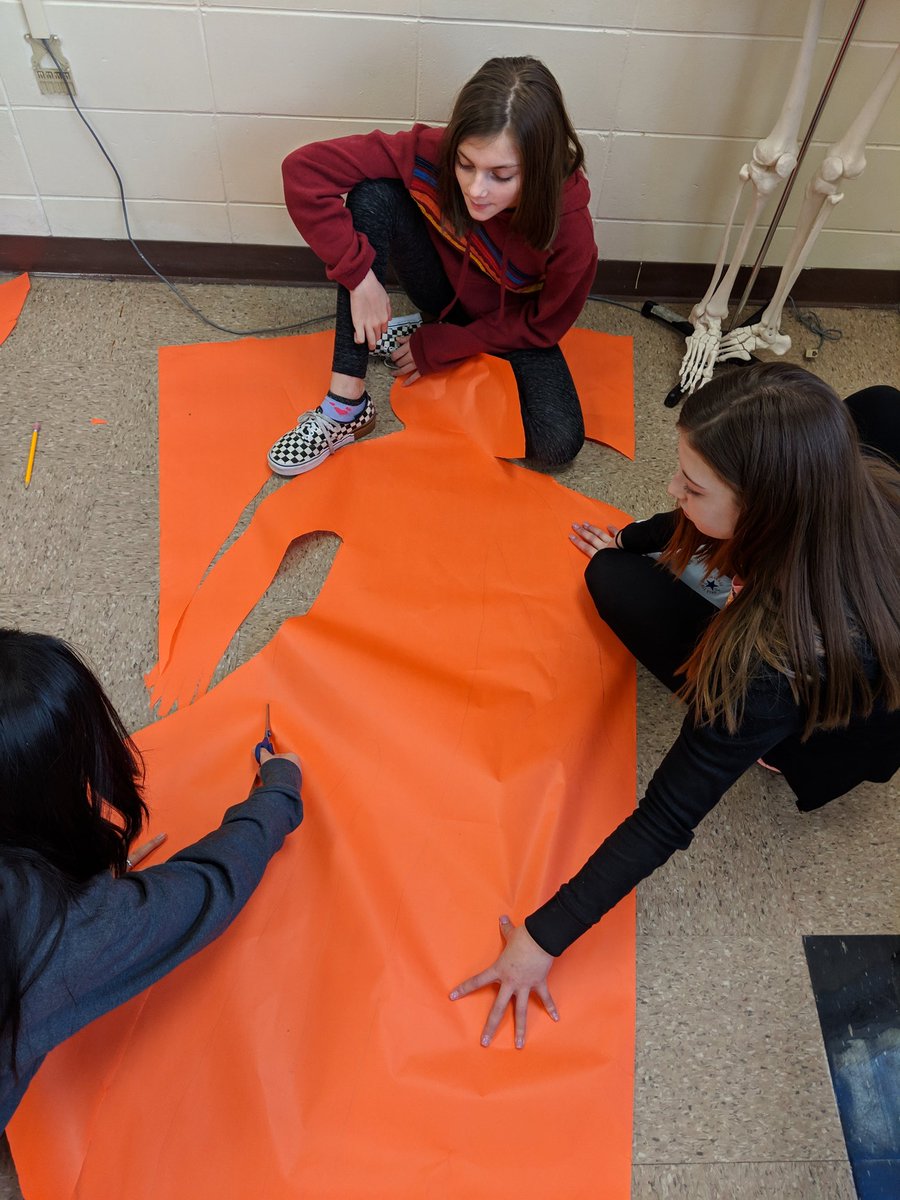 MissGianni27's tweet photo. 7th graders getting ready to assemble their #amazinghumanbodies #healthwithMissG #middleschoolhealth #brackmanbulldogs https://t.co/7X8owzmQNJ
